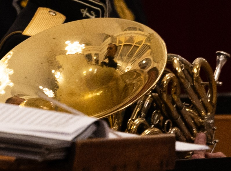 Сестра печали. Большой зал Филармонии. Адмиралтейский оркестр. Фотограф Твердохлебова Дарья, г. Санкт-Петербург