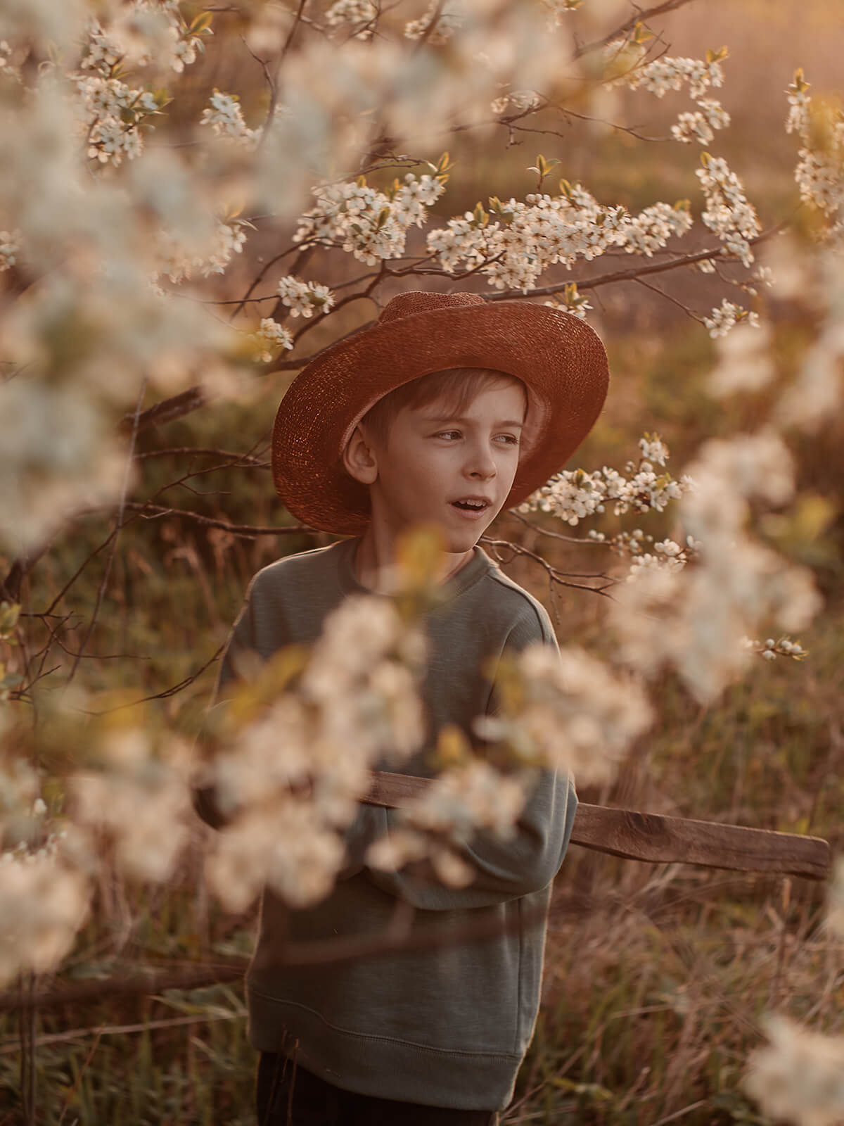 Ковбой и вишня. Дачные зарисовки. Алёна Орлова Портретный фотограф Москва