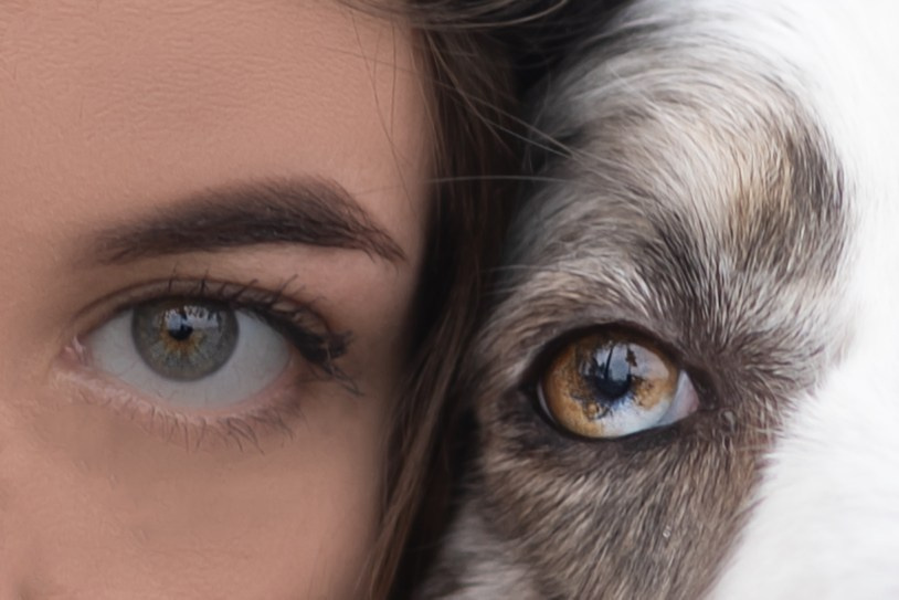 Мария и Локи. Фотограф животных Евгения Верцинская