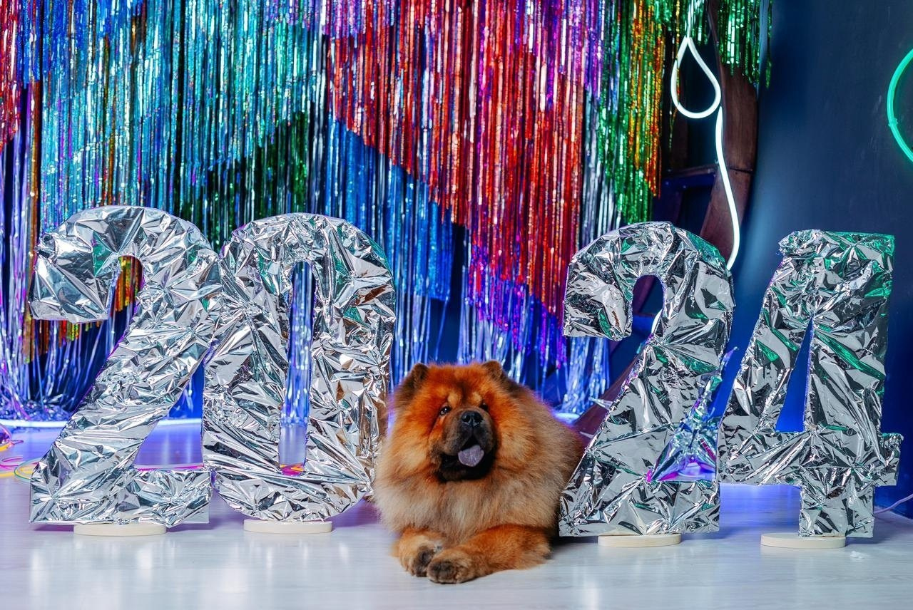 Новогодние съемки. Фотограф Екатерина Головатюк, Железногорск Красноярского края