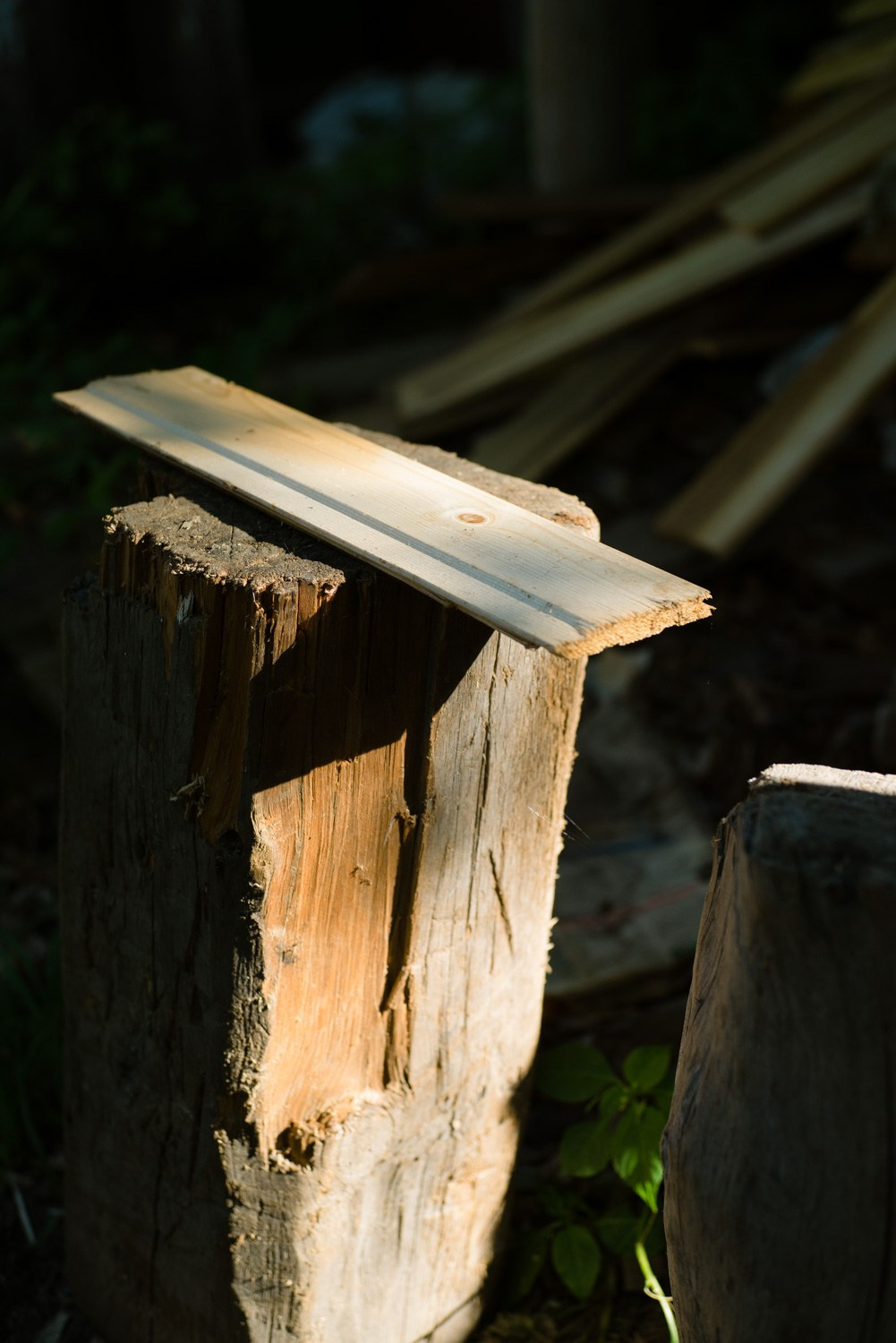 Summer Recurrences. Пётр Антонов