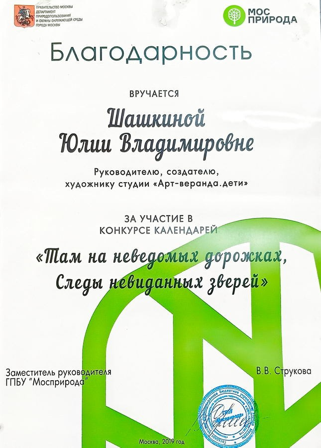 Шашкина Юлия Владимировна. Галерея участников Российской Премии Искусств