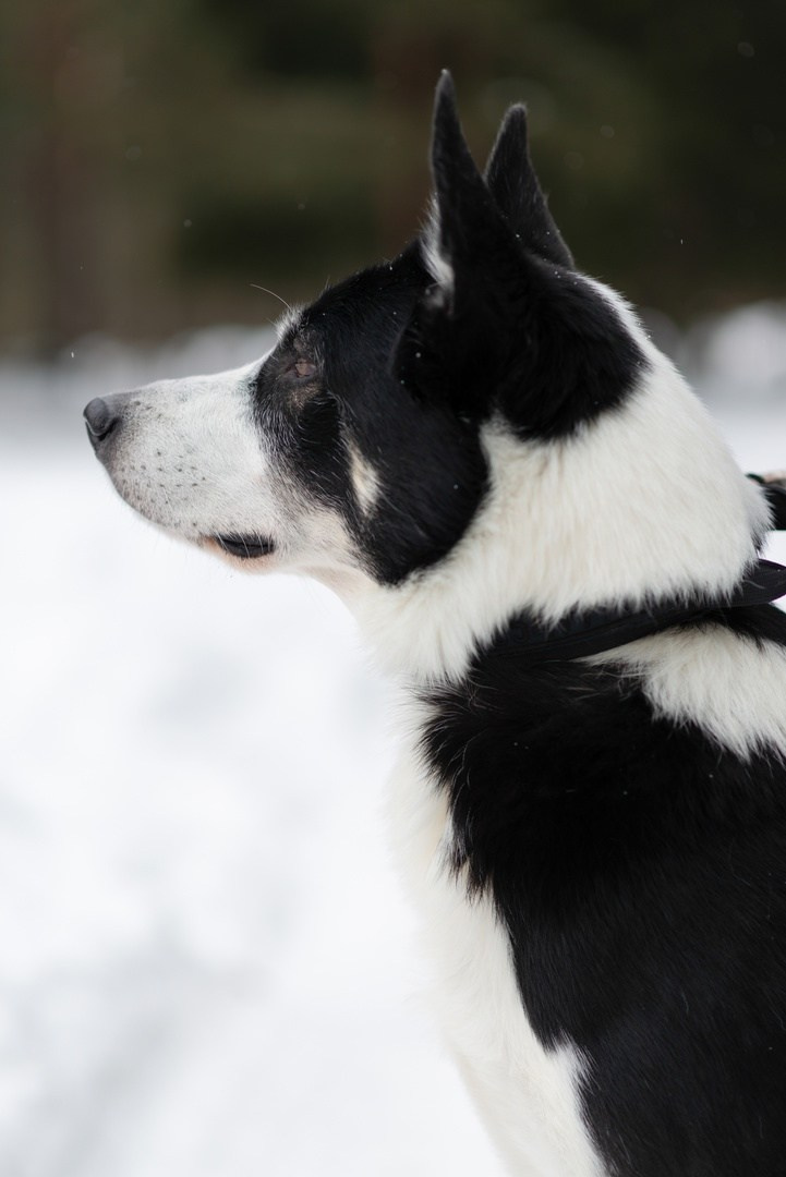 Марина. Фотограф Софья Власенко | Вологда