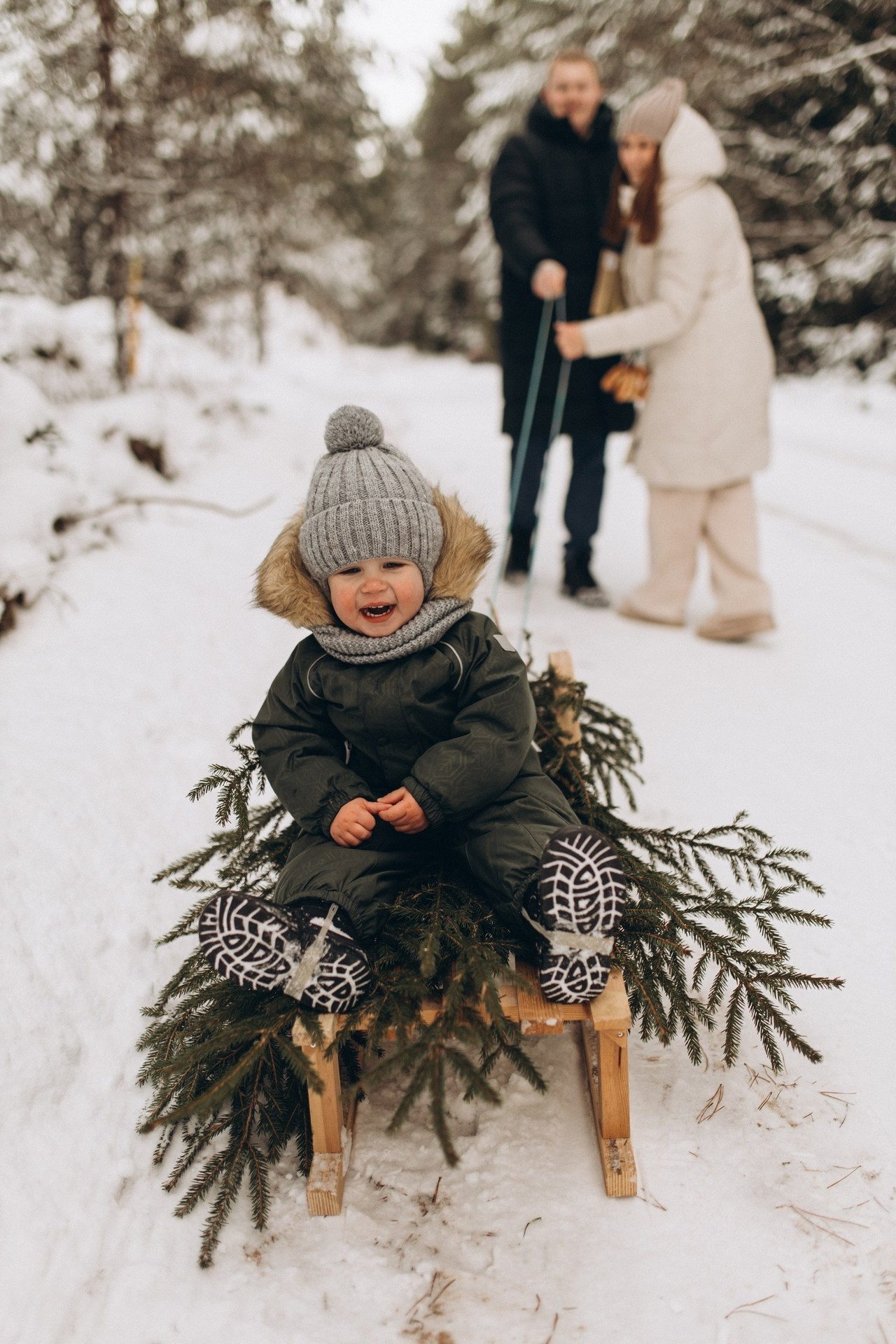 Приключение Вовы и его родителей. Услуги
