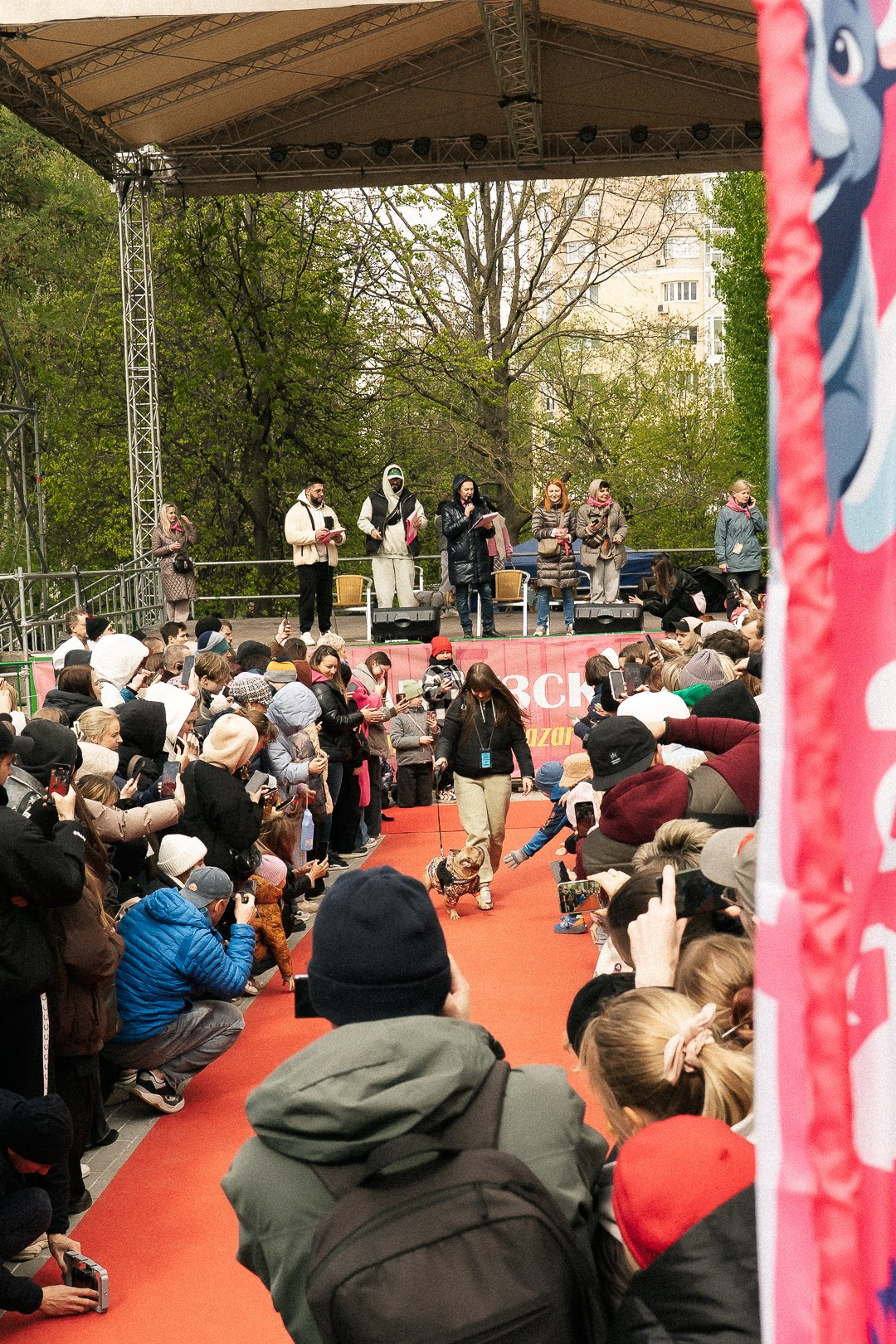 Парад Бульдогов. Axenov_eugene