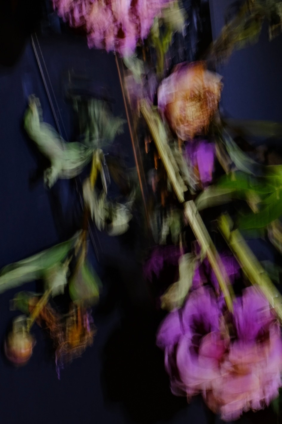 Цветочные принты. Фотограф Анна Чанаях