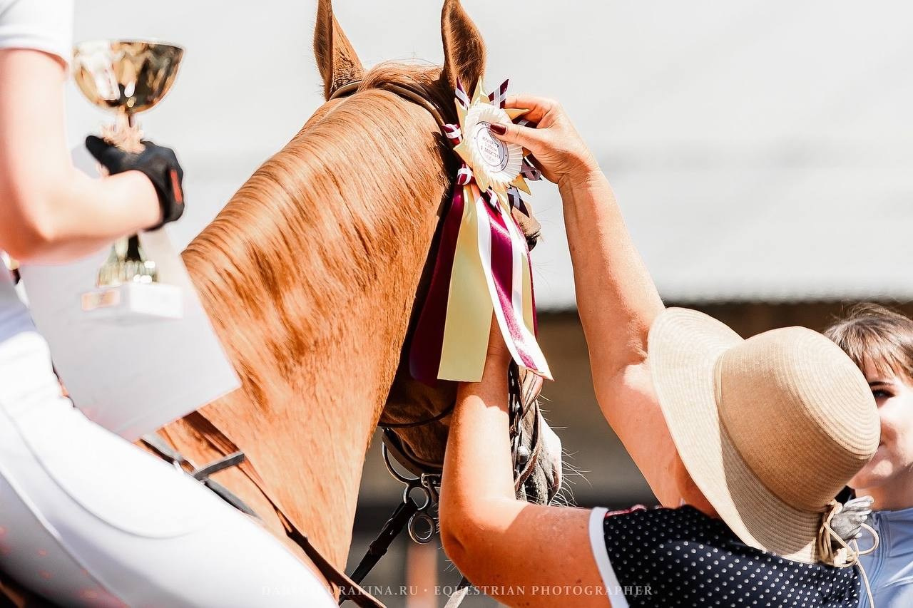 ЛЕТНИЙ КУБОК КСК «СОЗВЕЗДИЕ» по КОНКУРУ. Конный фотограф Куракина Дарья • Фотосессии с лошадьми
