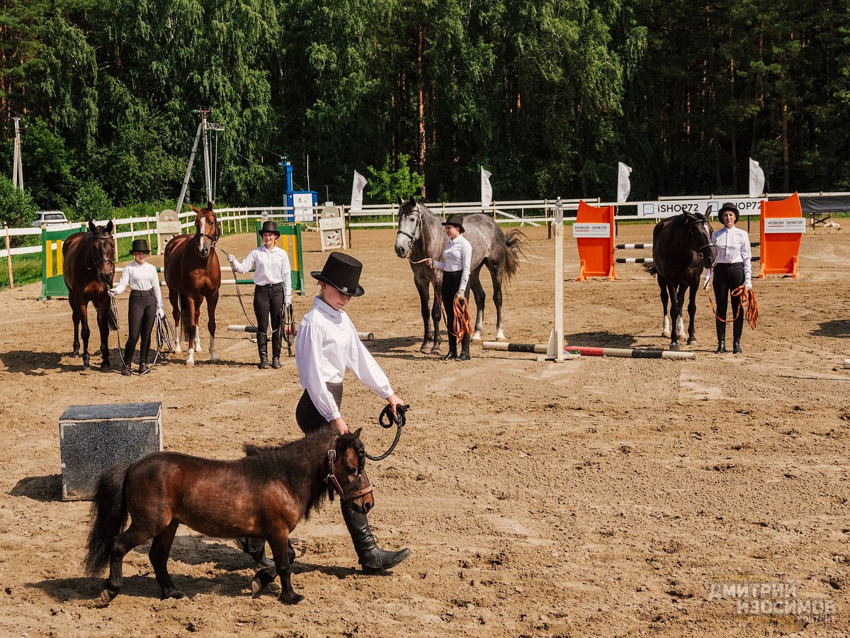 Скачки фаворитов 2024