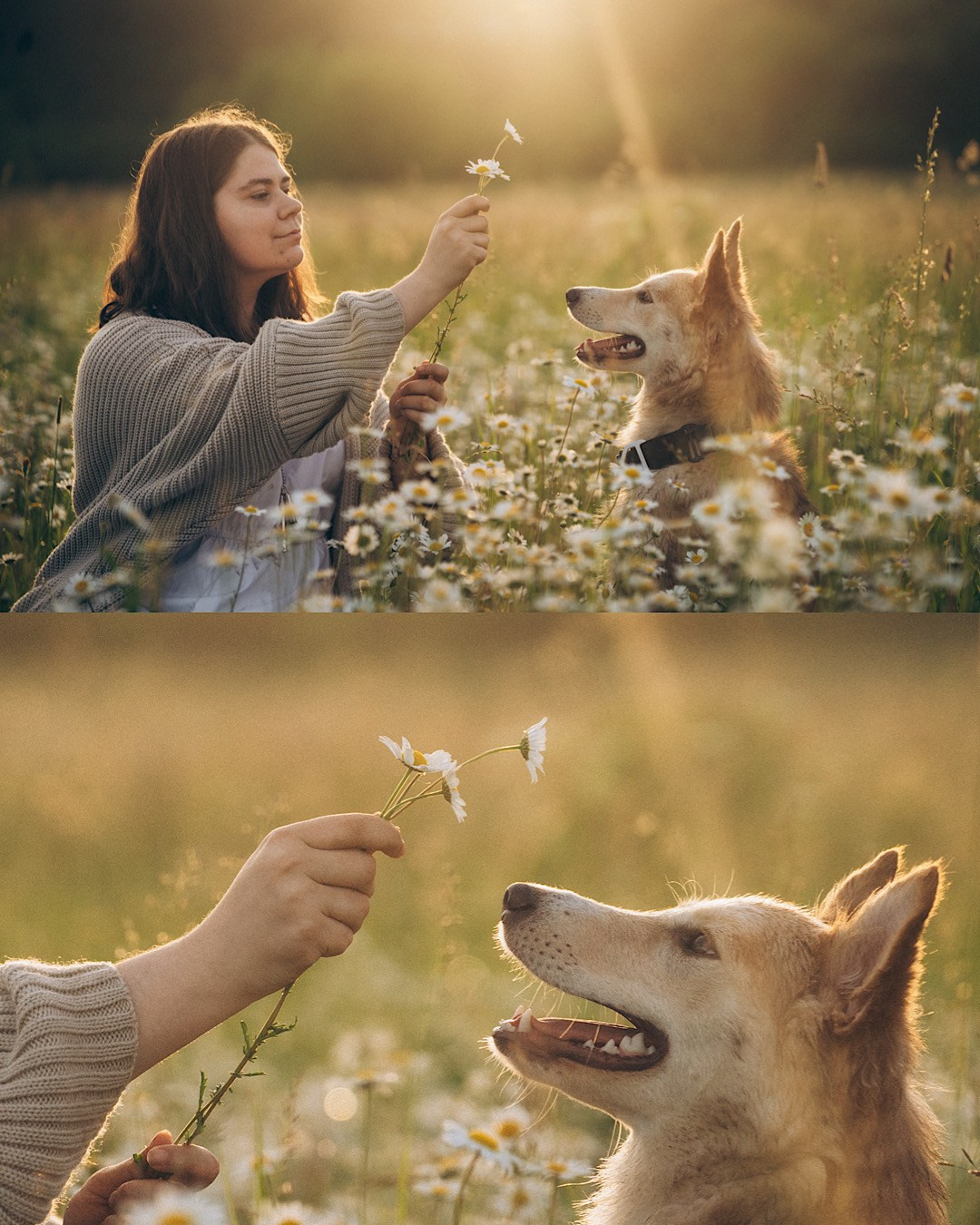 Соня и Кора. Фотограф анималист в Москве и Санкт-Петербурге Свиридова Анна