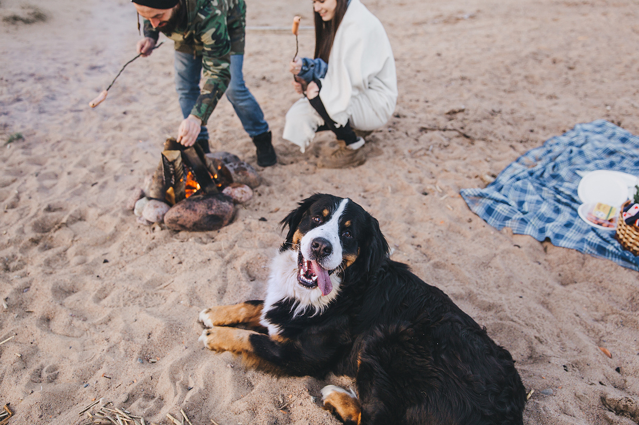 ANNA & DMITRIY. Фотограф в Сочи, Санкт-Петербурге, Москве, Италии, Франции, Черног