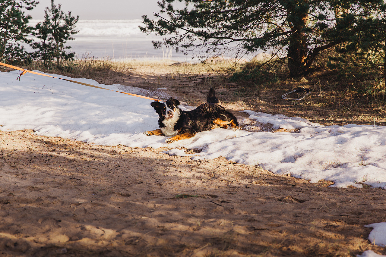 ANNA & DMITRIY. Фотограф в Сочи, Санкт-Петербурге, Москве, Италии, Франции, Черног