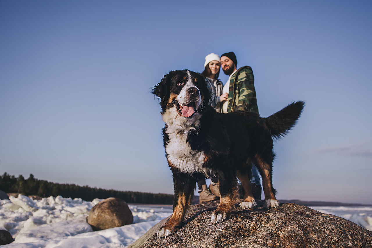 ANNA & DMITRIY. Фотограф в Сочи, Санкт-Петербурге, Москве, Италии, Франции, Черног