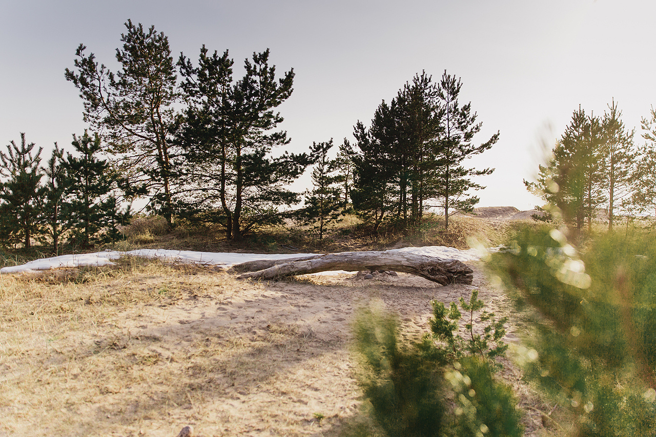 ANNA & DMITRIY. Фотограф в Сочи, Санкт-Петербурге, Москве, Италии, Франции, Черног