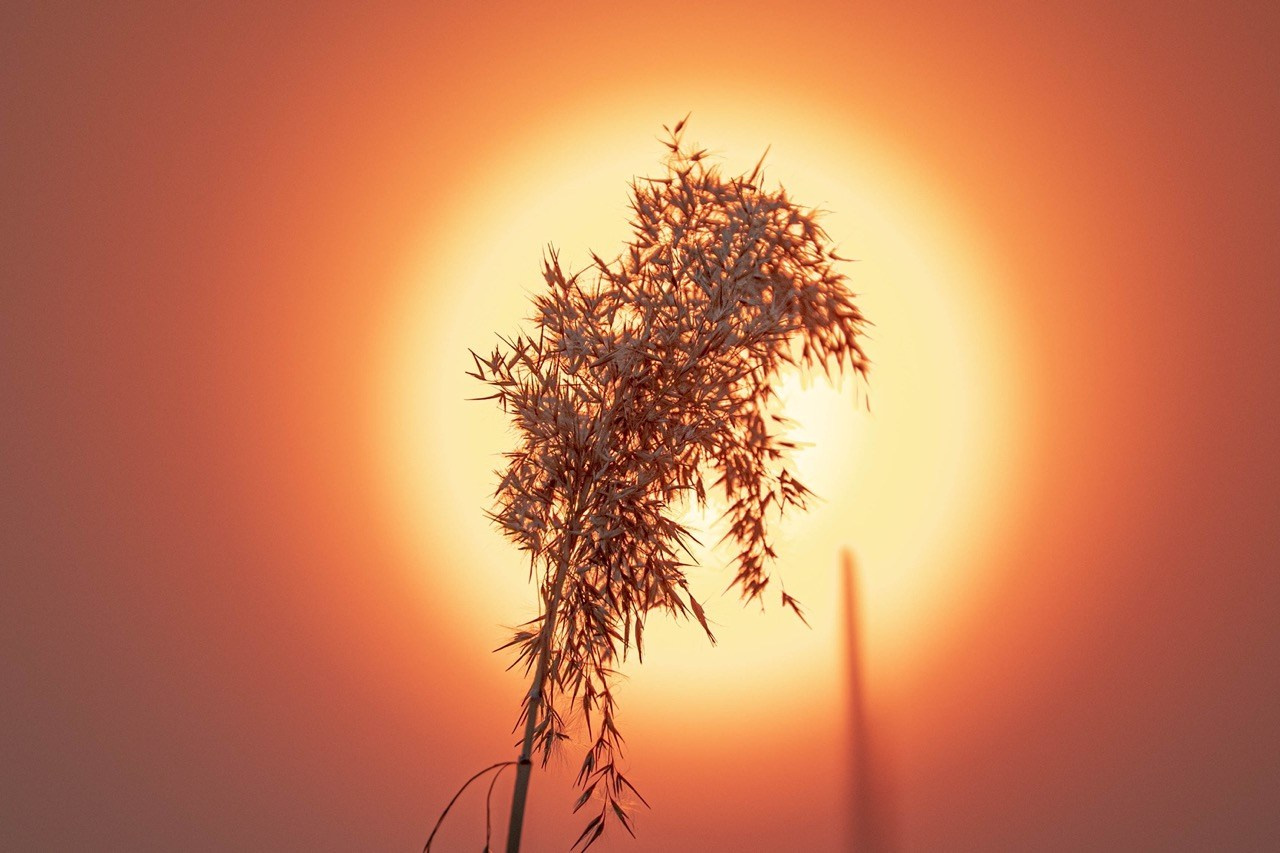 Осень, Природа, Артем Федоров, Новосибирск, SPC HM