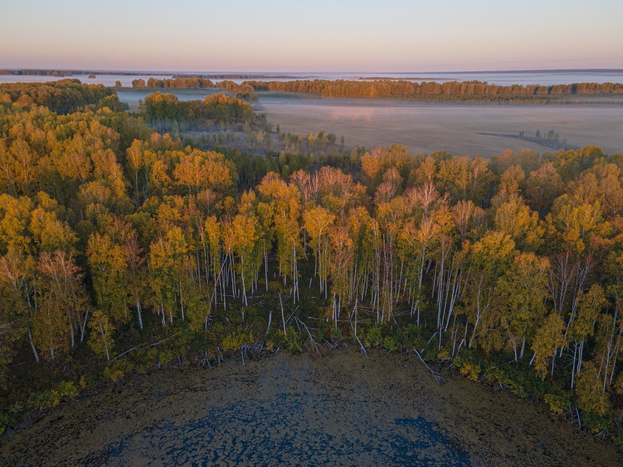 Сибирские просторы, Пейзаж, Артем Федоров, Новосибирск