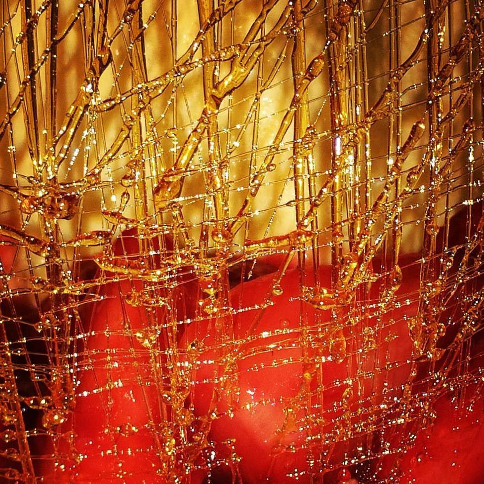 Bashnin instagramm. Заставка