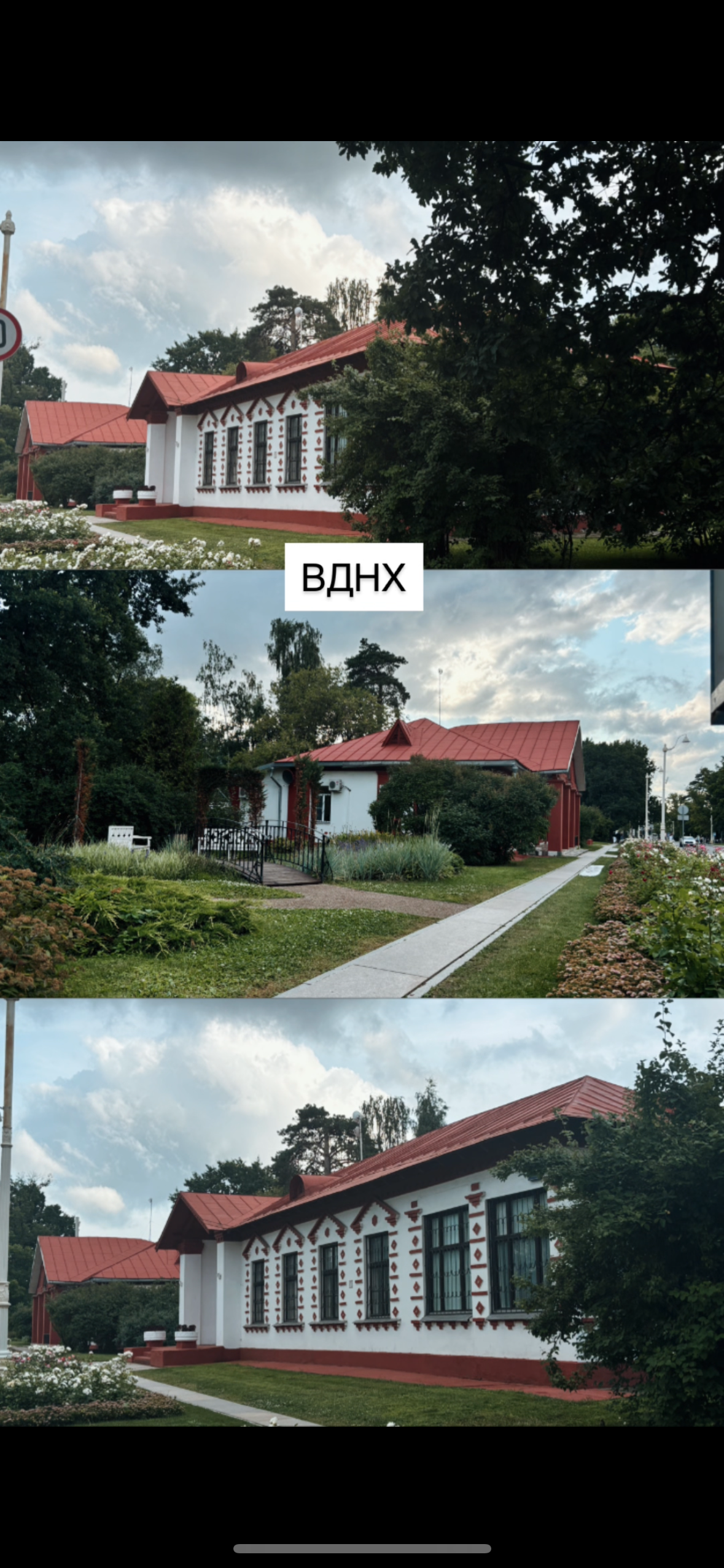Городские. Фотограф Светлана Мерзлякова