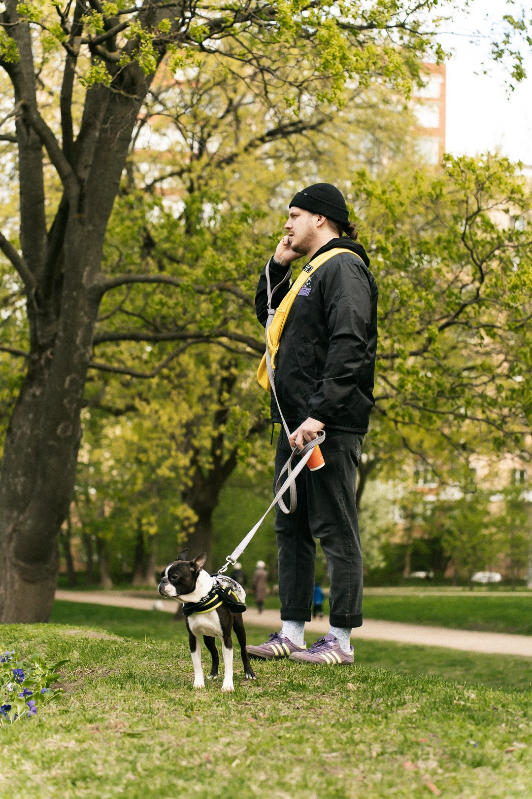 Парад Бульдогов. Axenov_eugene