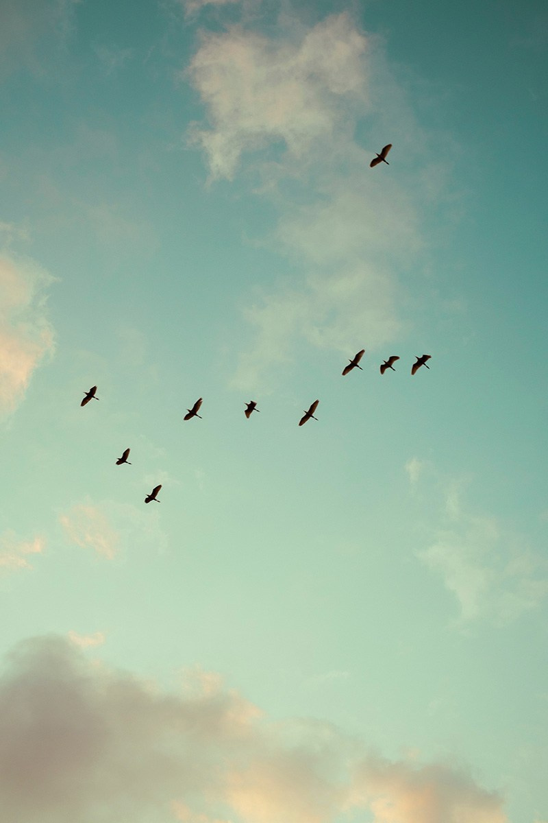 Арт фотограф Виктория Фатина Москва | visual art