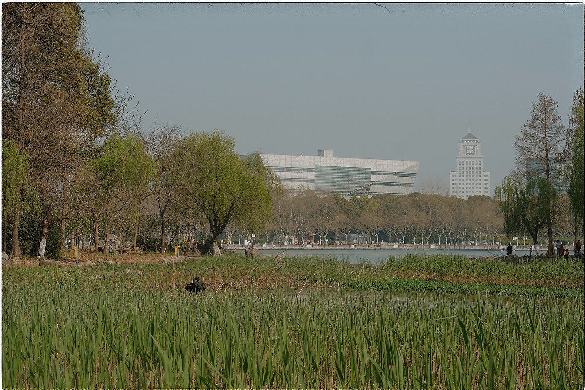 Китай. Портретный и репортажный фотограф в Санкт-Петербурге Дарья Сибирякова