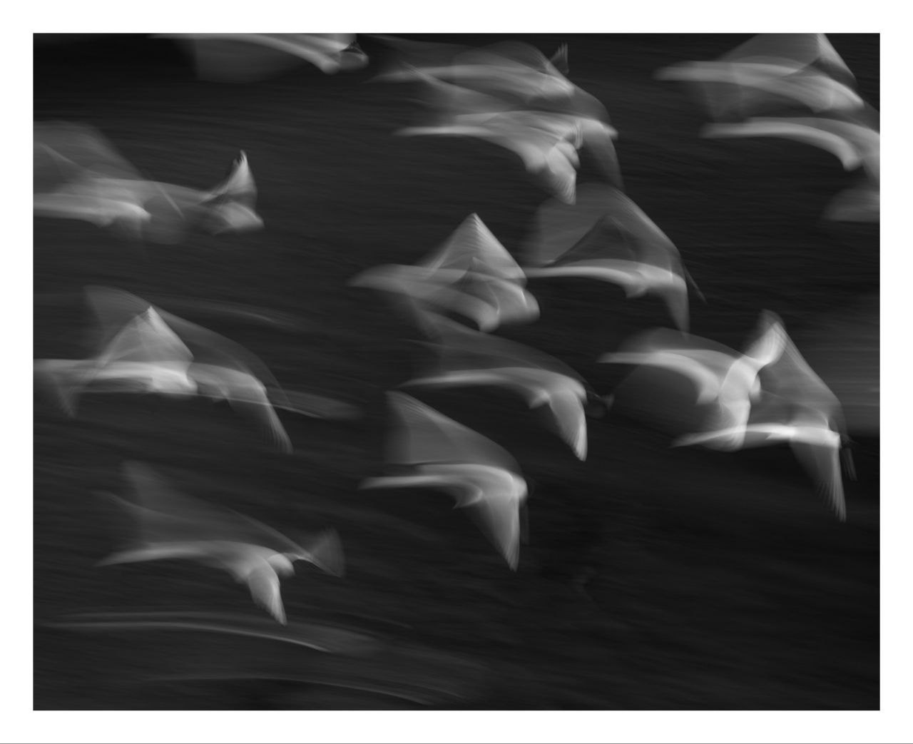 Облачный поток. Мастерская Демченко