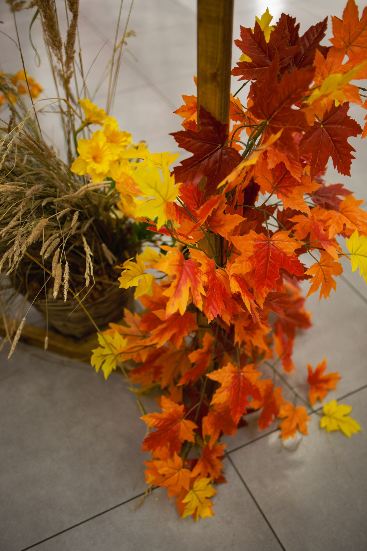 Осеннее чаепитие в ТЦ Хорошо!. Репортажный и концертный фотограф в Москве Анастасия Осень