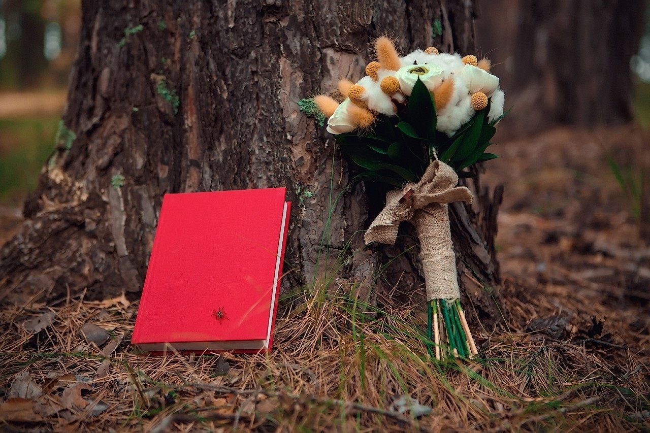 Свадьба в лесу. Свадебный и семейный фотограф Москва, Звенигород, Одинцово, Можайск,