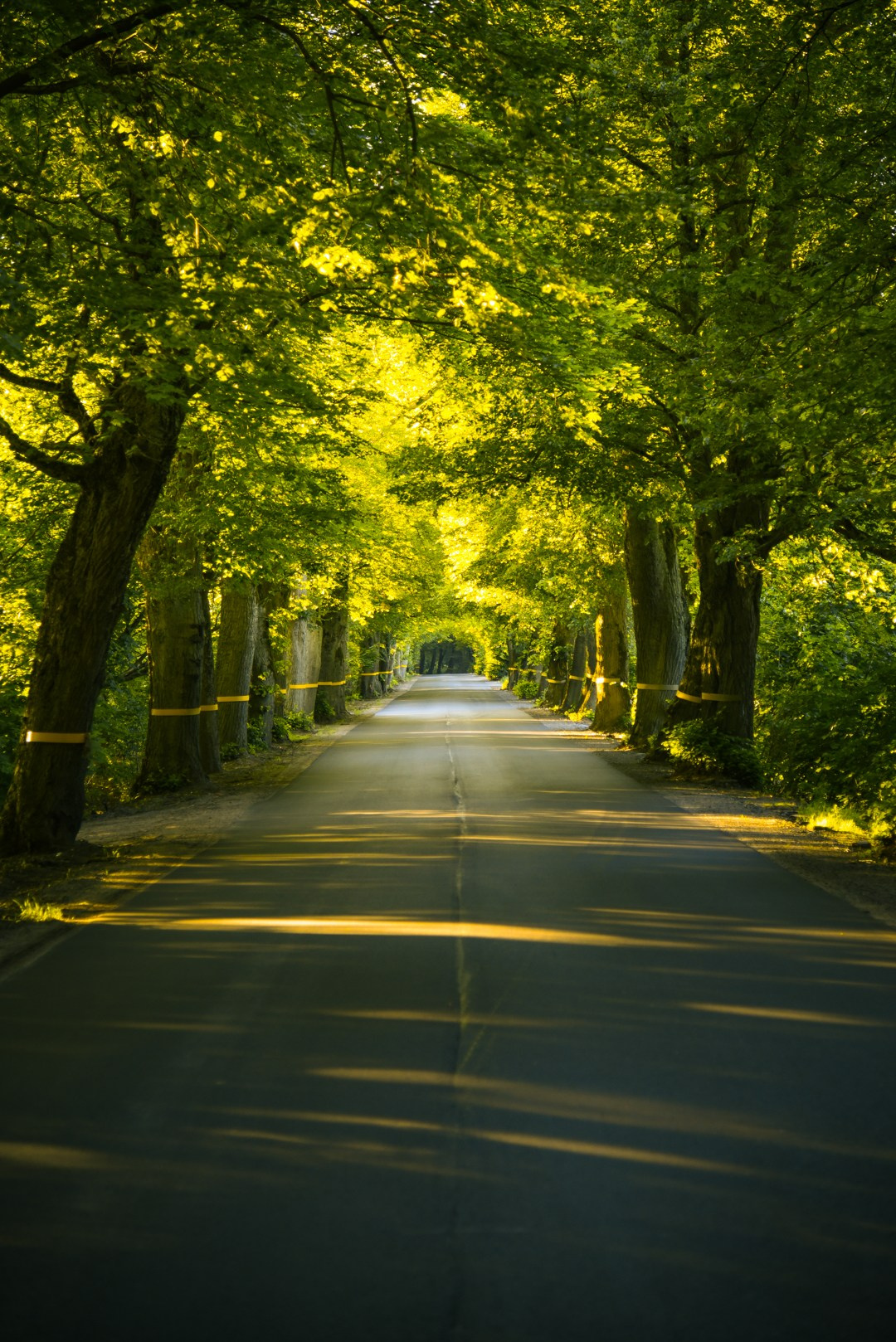 Landscape Photography and Fine Art Prints