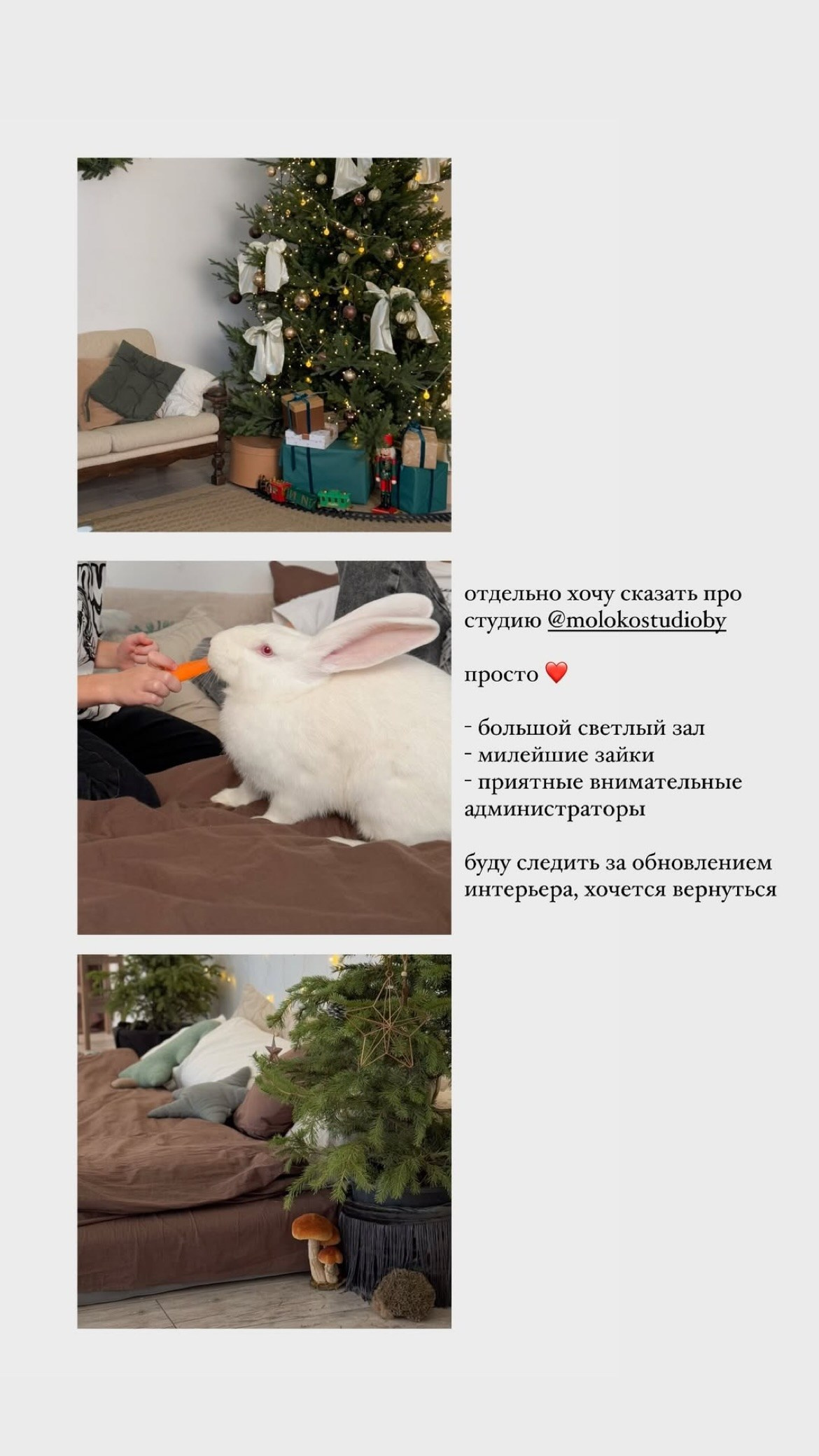 Фотостудия Молоко в Минске