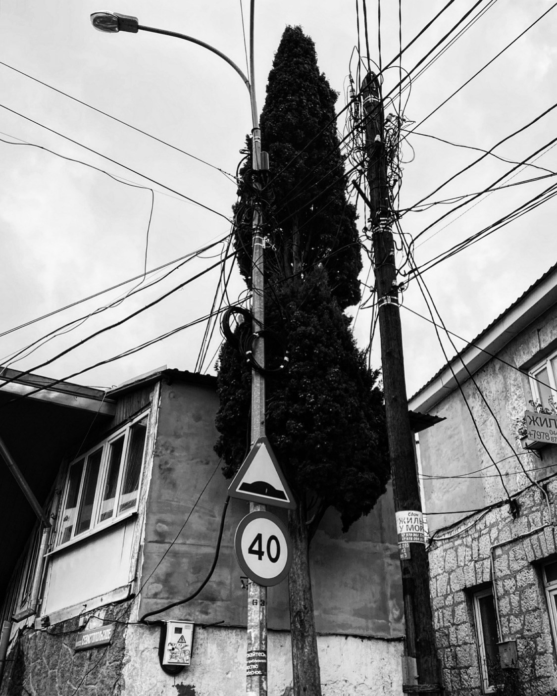 Работы с телефона. Свадебный фотограф в Москве Сафонова Анна