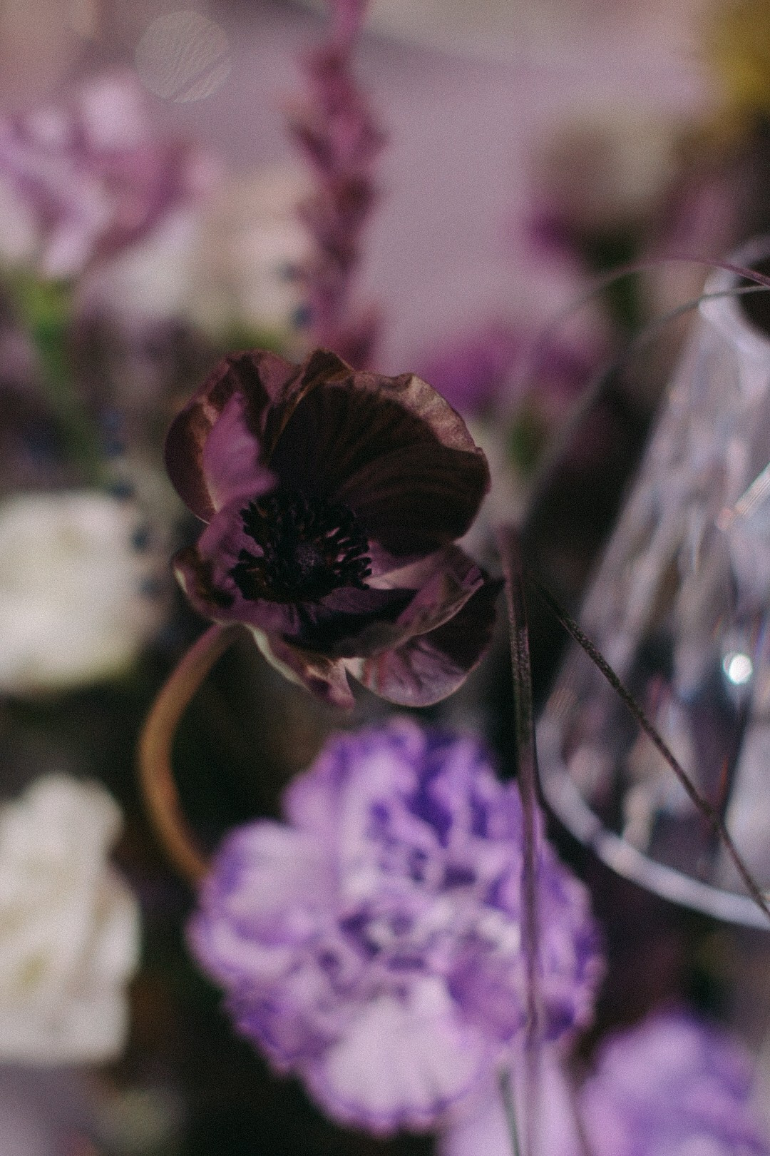 Сергей и Лолита. Фотограф Нижний Новгород