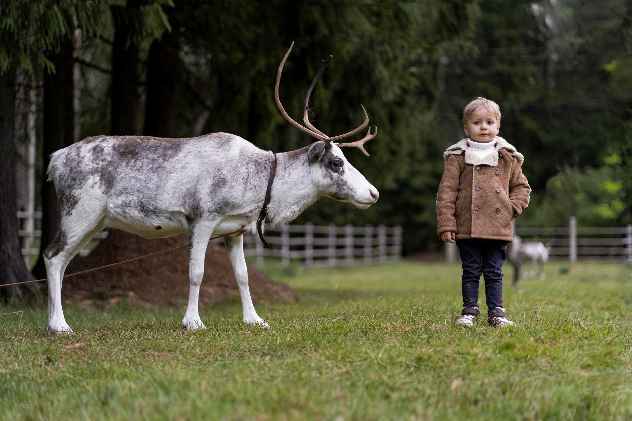 Фотостудия Панда