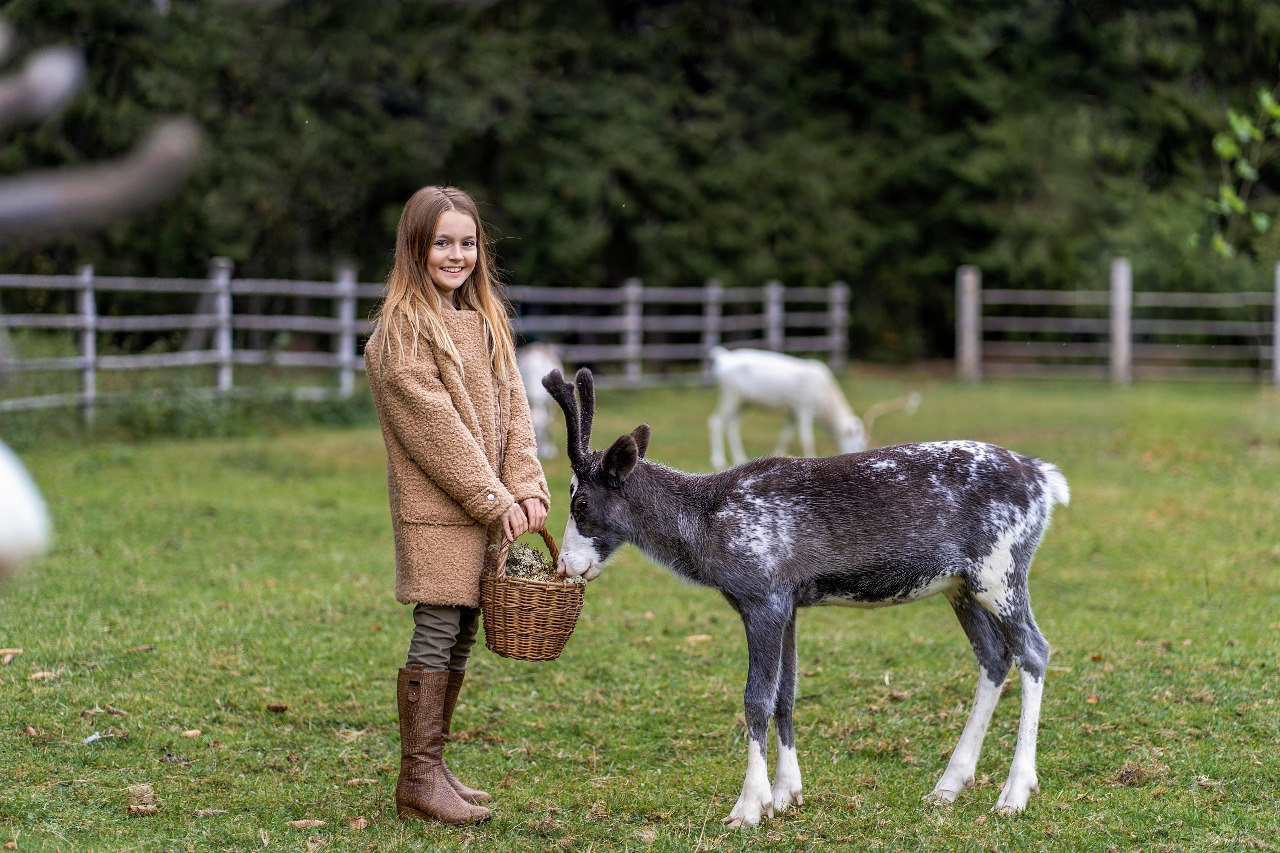 Фотостудия Панда