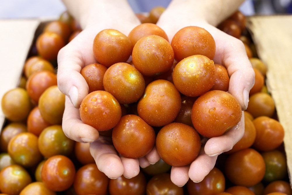 Промышленная рекламная индустриальная фотосъемка  - Портфолио фотографа. Промышленный фотограф | Бизнес-фотосессии | Казань и РФ