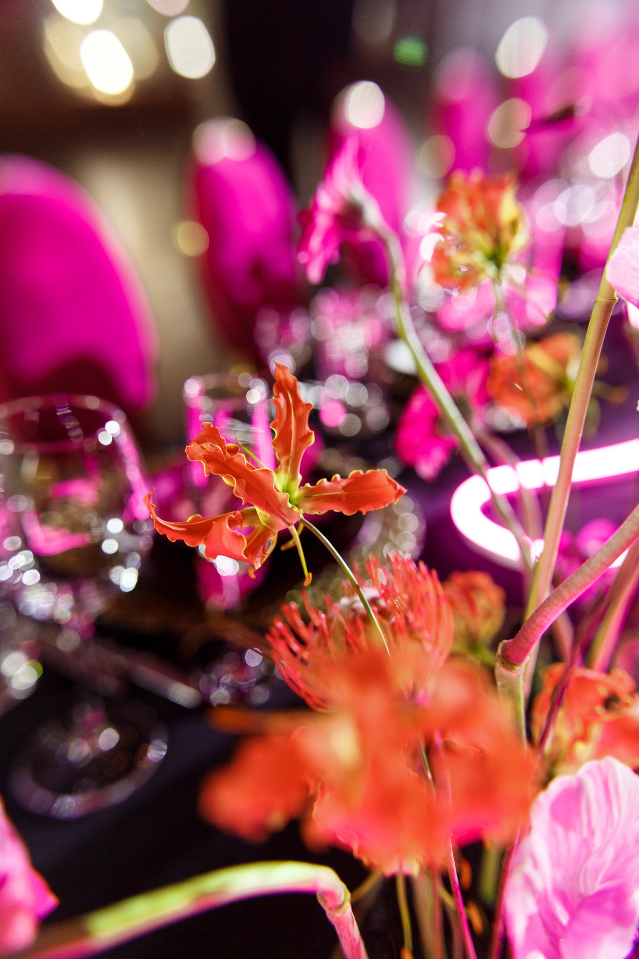 Pink neon. Свадебный фотограф в Санкт-Петербурге Наталья Вендт