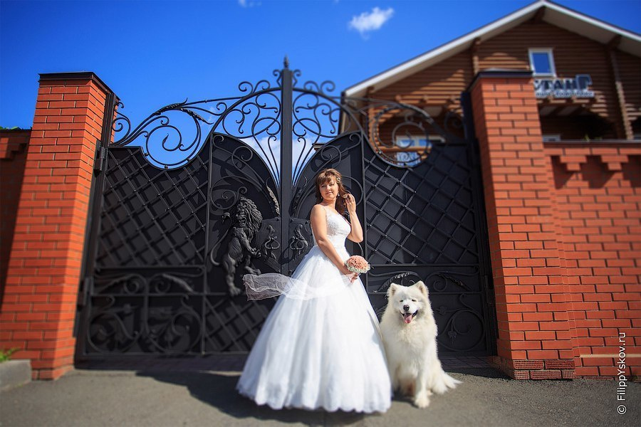 свадебный фотограф Ижевск свадебное фото на свадьбу