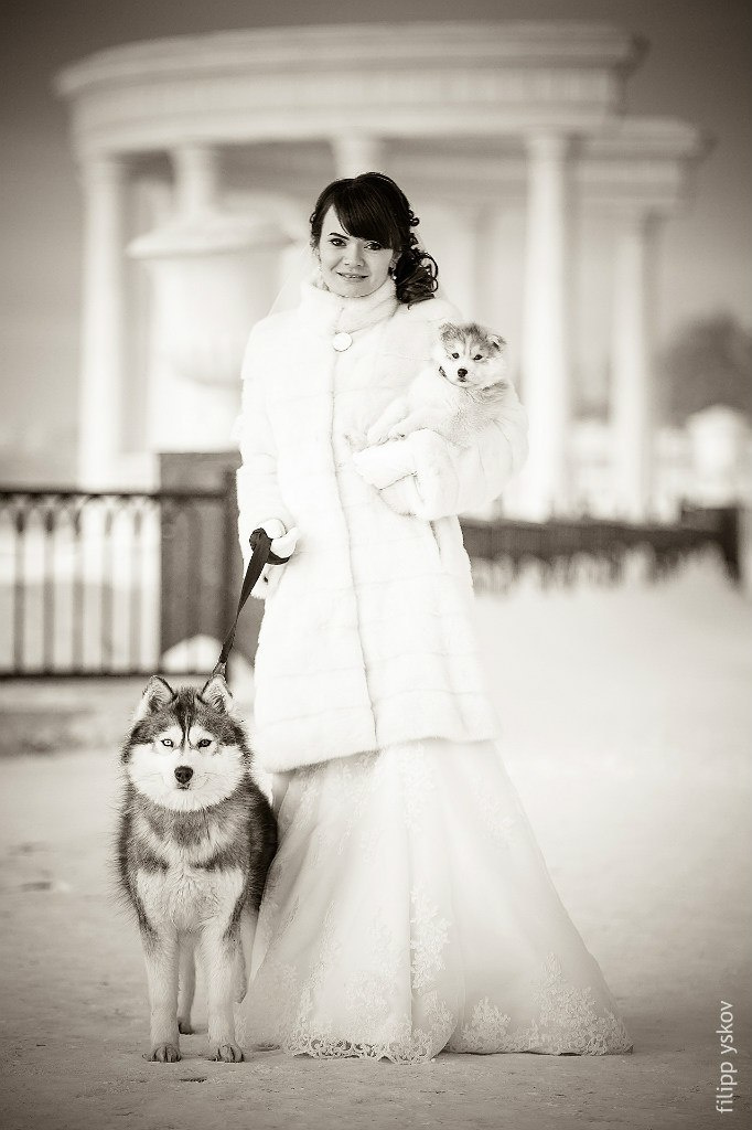 свадебный фотограф Ижевск свадебное фото на свадьбу wedding foto