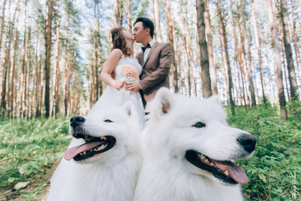 свадебный фотограф Ижевск свадебное фото на свадьбу