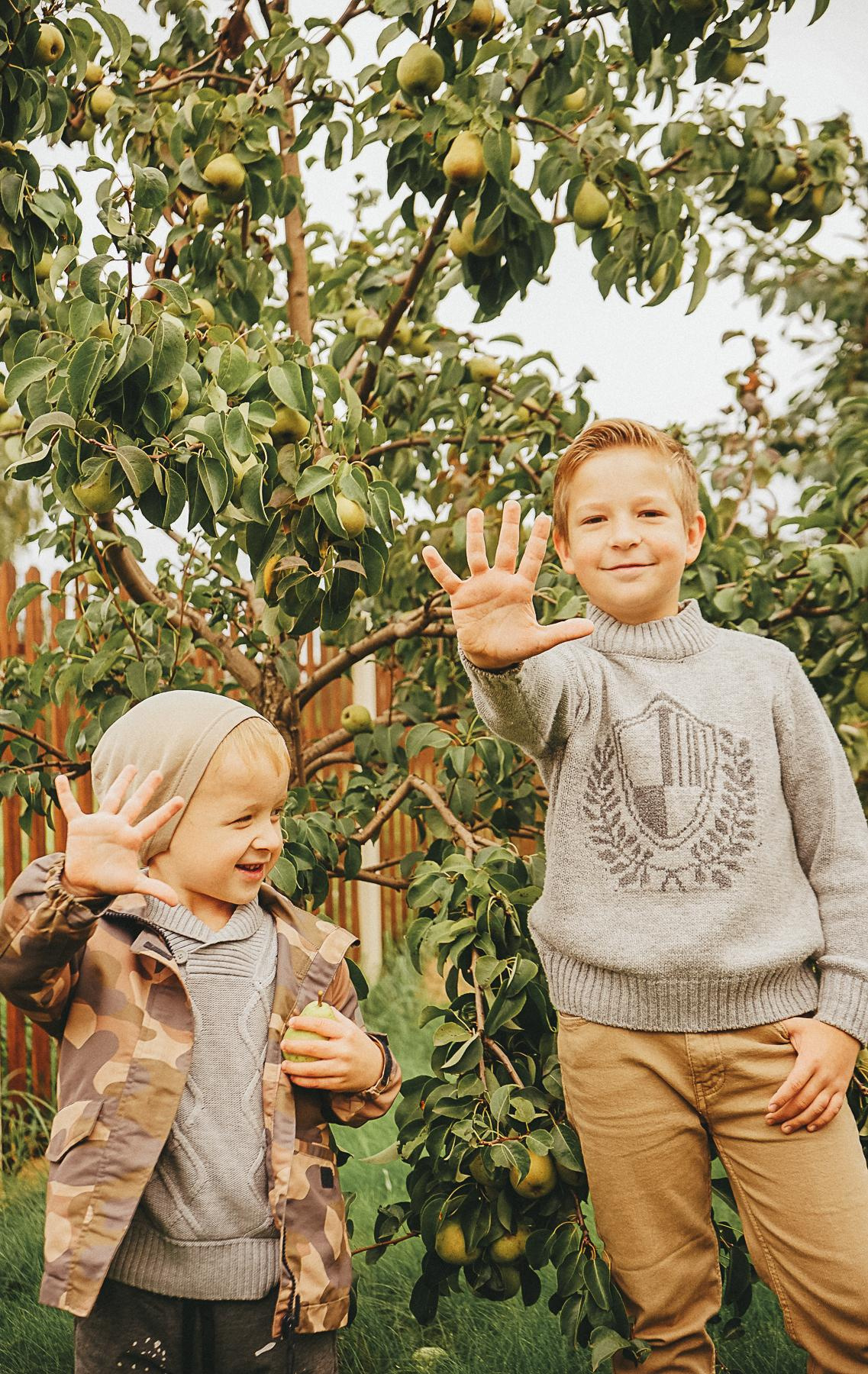 Яблочная история. Семейный lifestyle и контент фотограф, г. Бронницы Крылова Анна