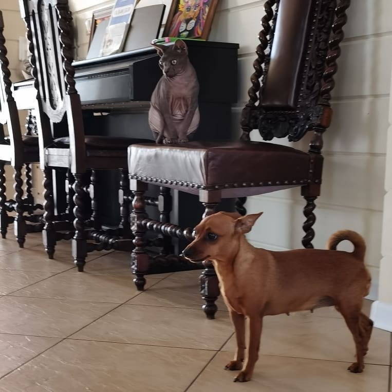 Anka`s Instagram. Заставка