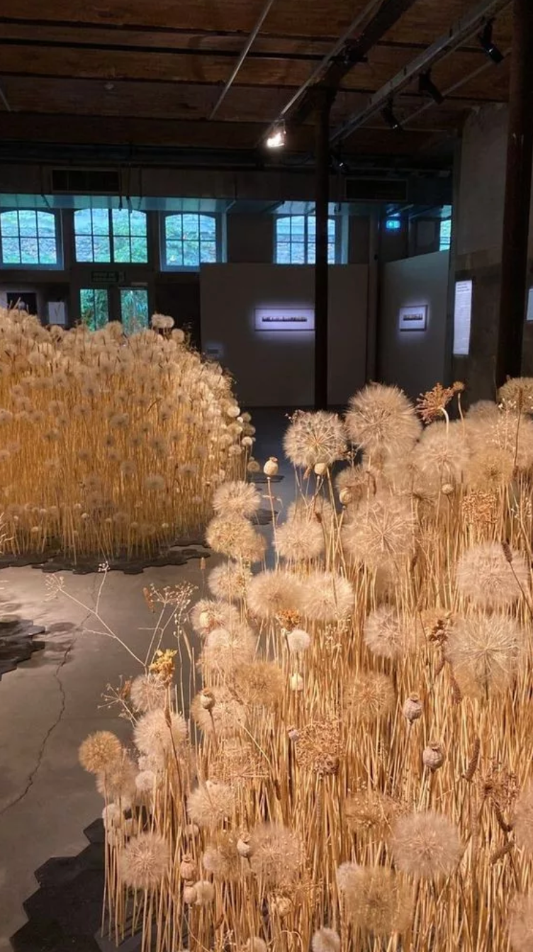 Декор 2024 года. Свадебный и репортажный фотограф Элина Козырьянова