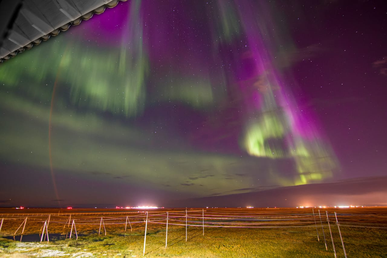 Природа. Репортажный фотограф в Самаре