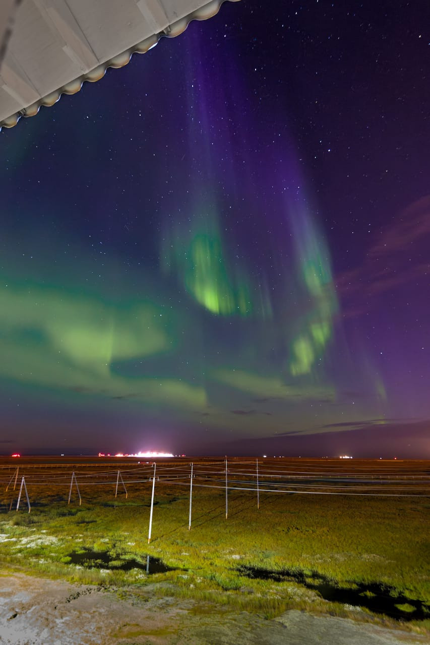 Природа. Репортажный фотограф в Самаре