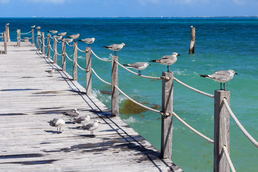 Композиция кадра. Семейный и свадебный фотограф в Майкопе Михаил Мартиросян