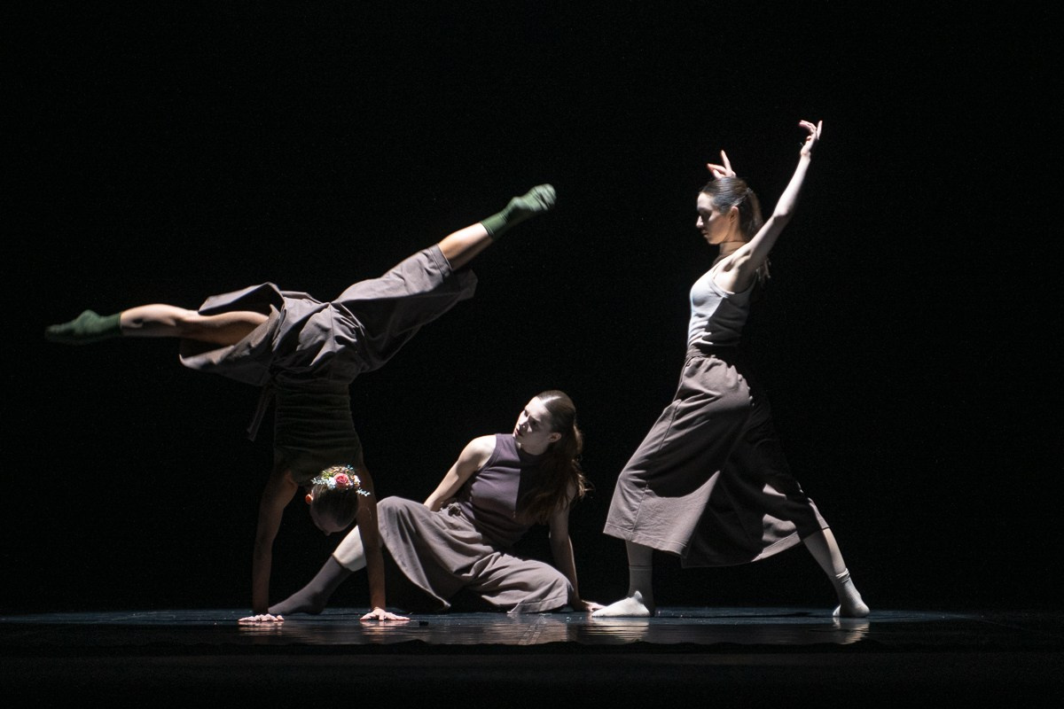 Новофест Фестиваль современного танца. Главная