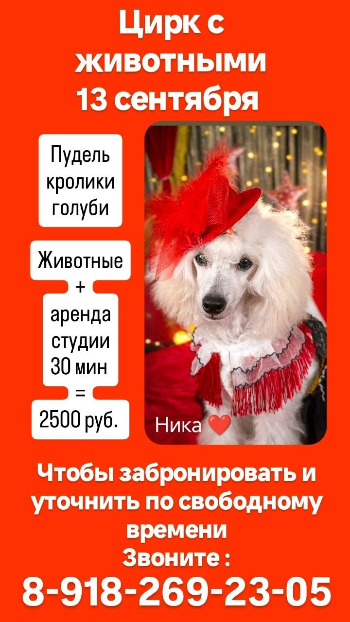 Фотостудия «Антураж» г. Краснодар