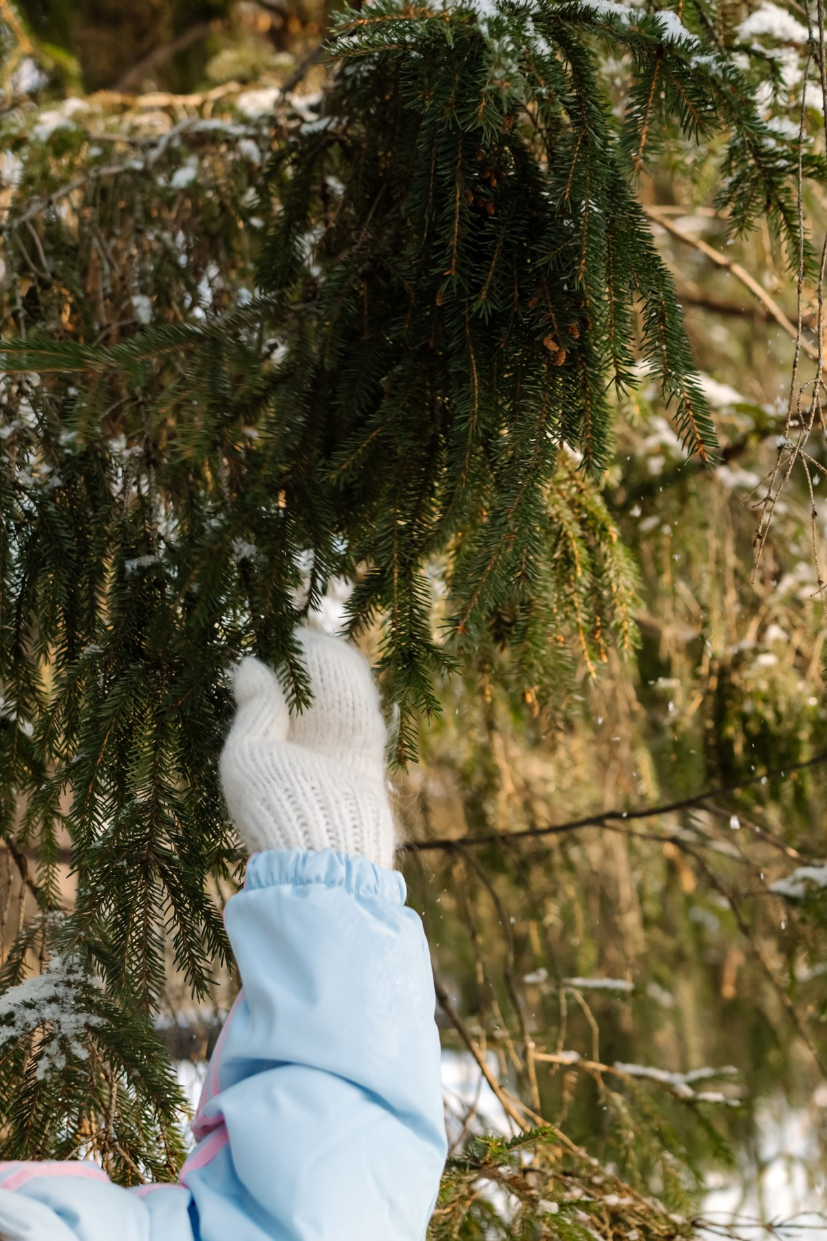 Прогулка с лыжами. Свадебный и семейный фотограф в Санкт-Петербурге Елена Худякова