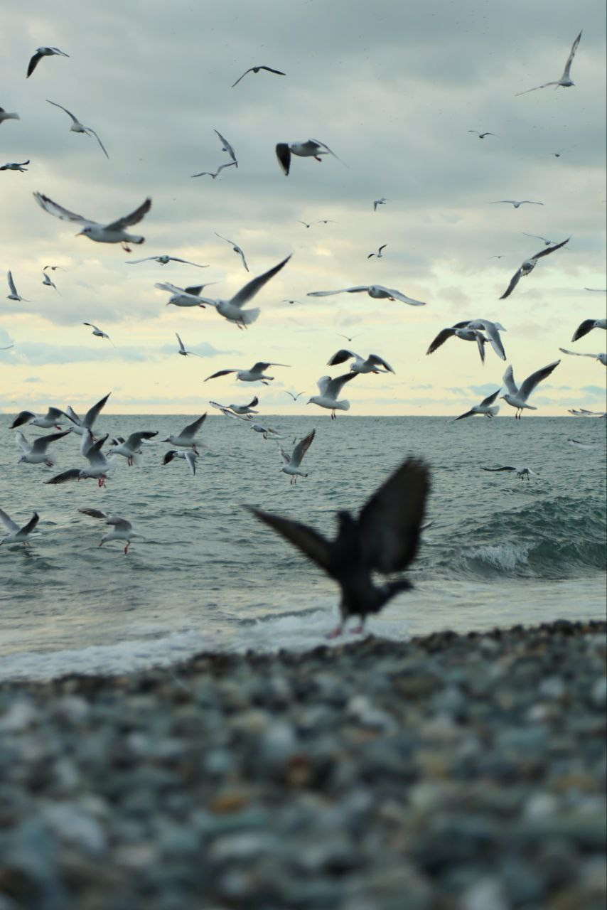 Проект «366»|2024|Фото каждый день. LENA GRACE photographer ||ЛЕНА ГРЭЙС фотограф