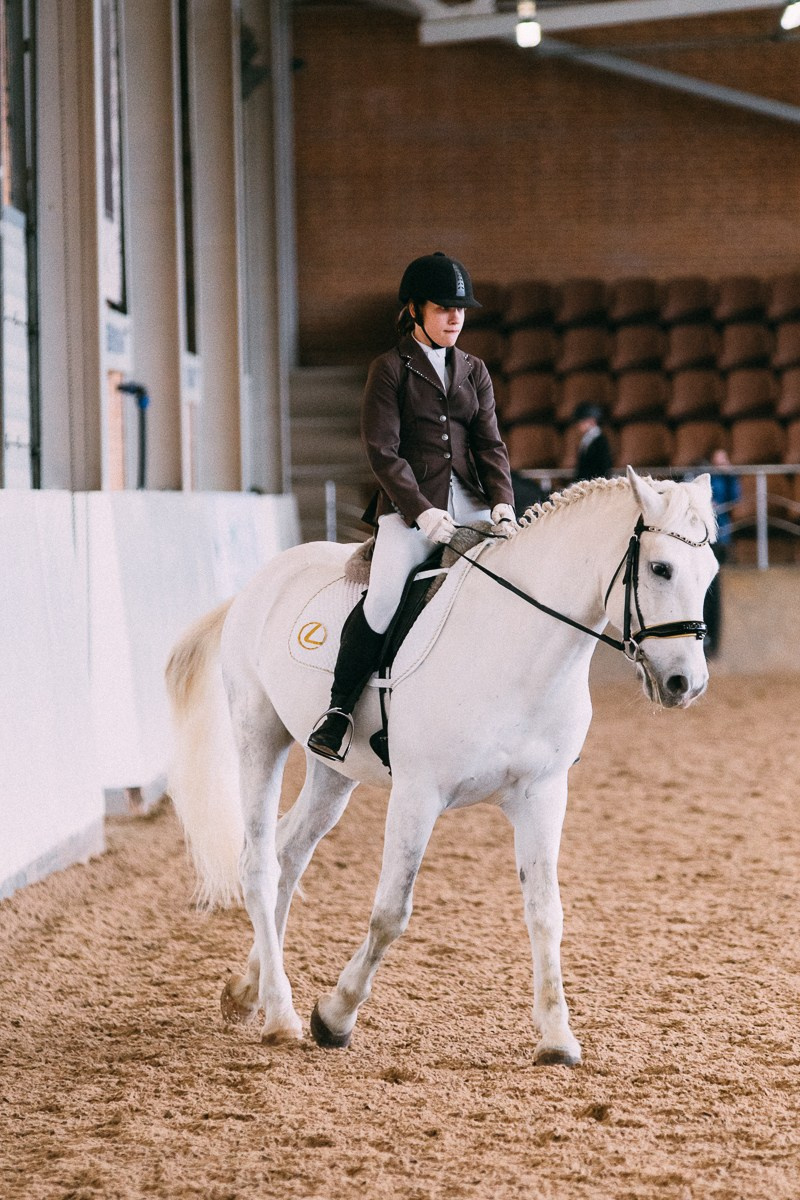 Выездка КСК «Дерби». Репортажный и семейный фотограф в Санкт-Петербурге Тарас Марченко
