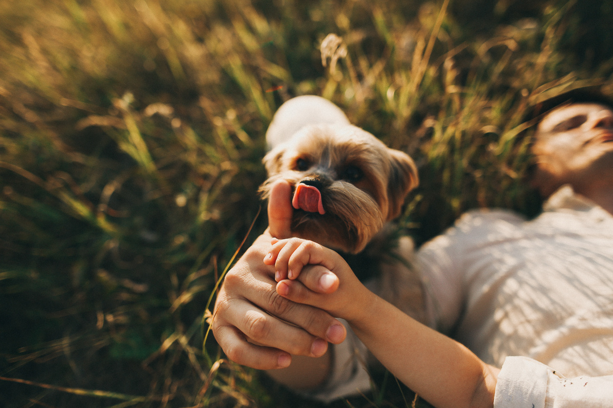 Свет. Соня Черных (sophieblack)